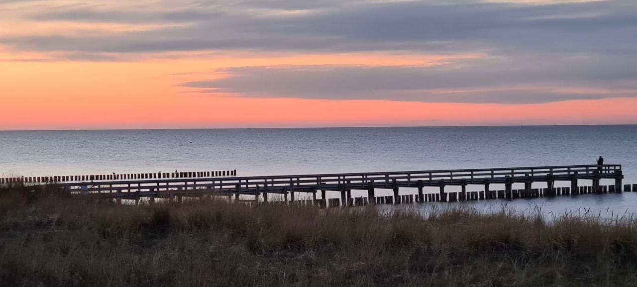 Haus Nadine Leilighet Zingst Eksteriør bilde
