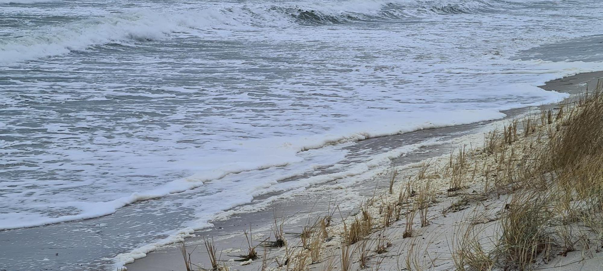 Haus Nadine Leilighet Zingst Eksteriør bilde
