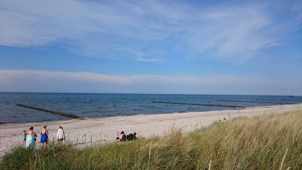 Haus Nadine Leilighet Zingst Eksteriør bilde